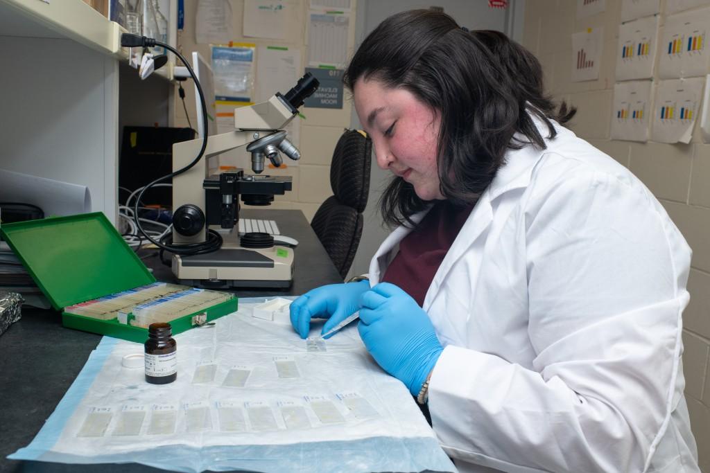 A student in a white coat and latex gloves prepares slides for a microscope